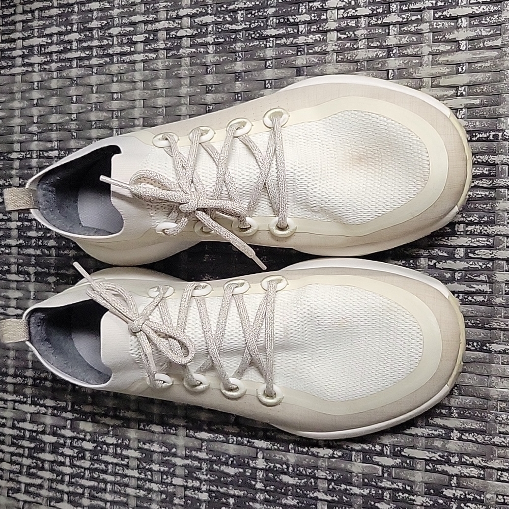 Men's Allbirds sneakers